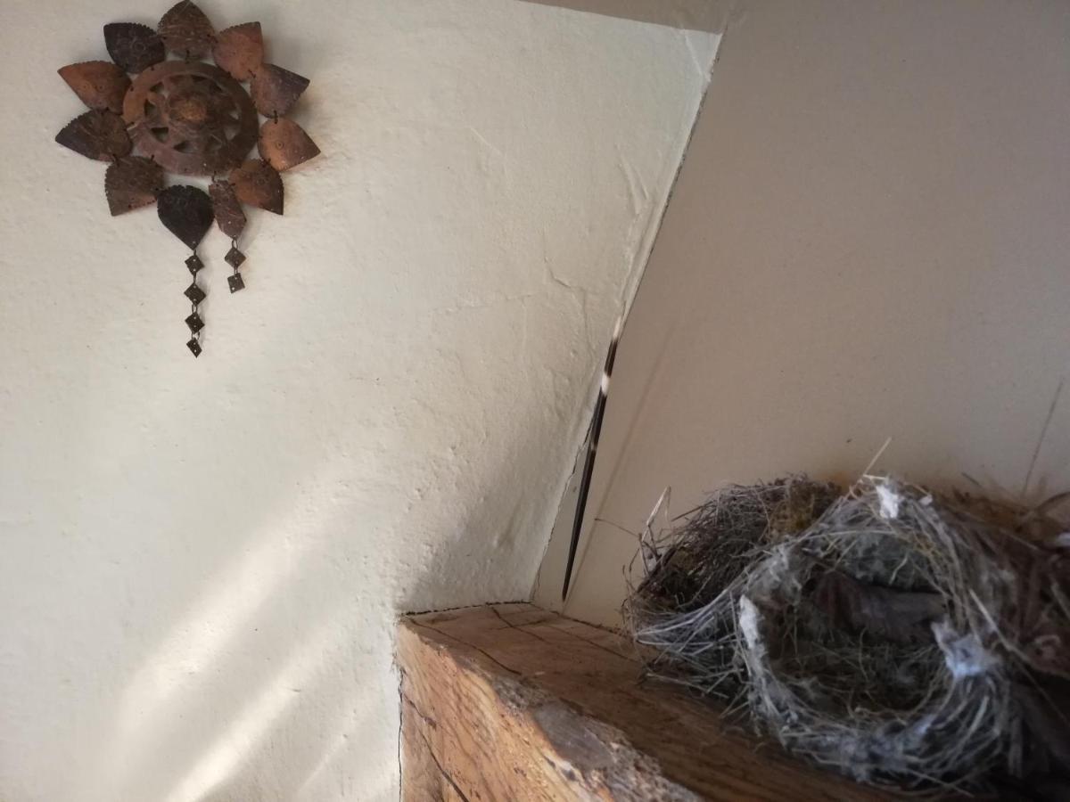 Casa Delle Ginestre Appartement Cesena Buitenkant foto